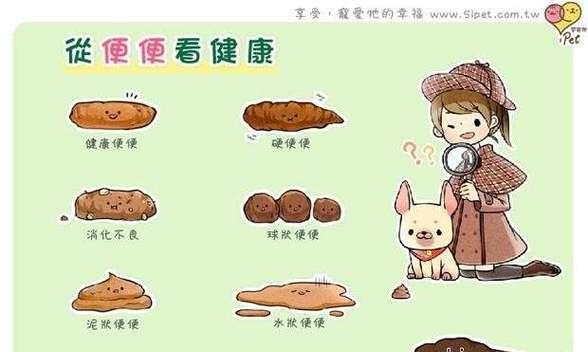 小狗的排便频率问题（十天小狗拉屎的周期与健康关系分析）