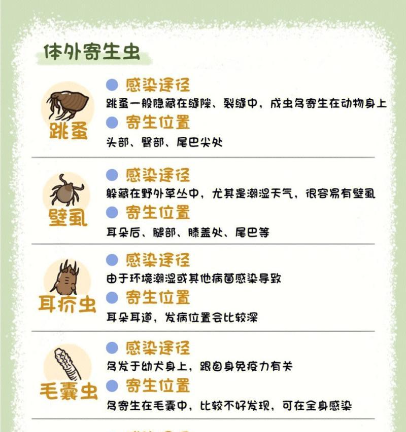 狗狗驱虫（探讨狗狗身体内驱虫的最佳时间以及有效方法）