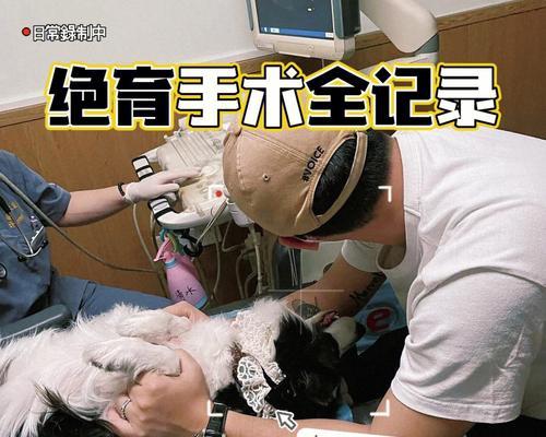 母狗产仔后适合绝育的时间及注意事项（为母狗选择合适的绝育时机和注意事项）