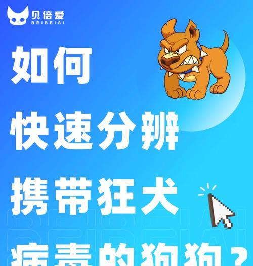 狗狗身价汇总（探索狗狗市场中的身价差异与背后原因）