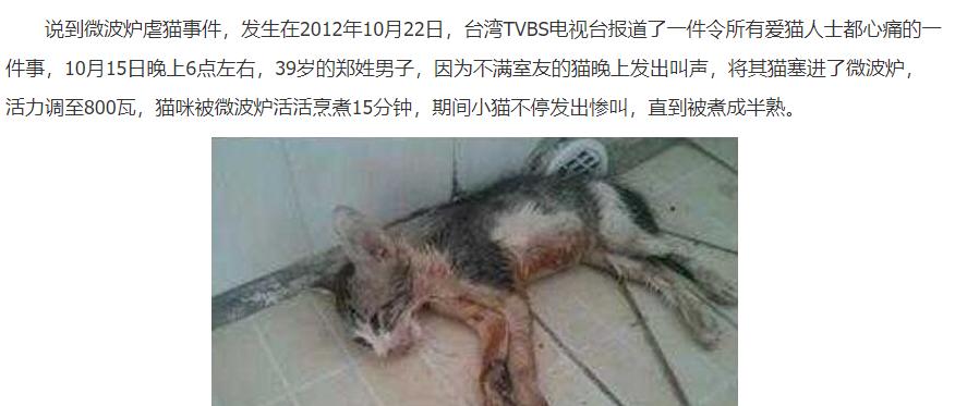 猫为什么不能打？（揭秘虐猫时猫不反抗的原因）