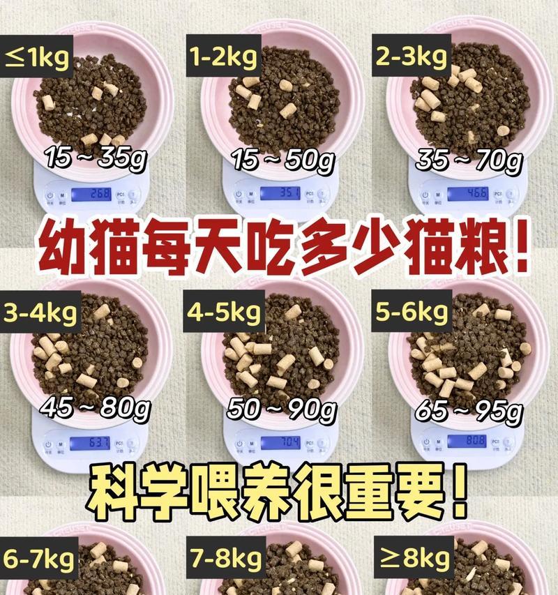 揭秘猫咪的排便频率（探究猫咪每日拉便次数的奥秘）