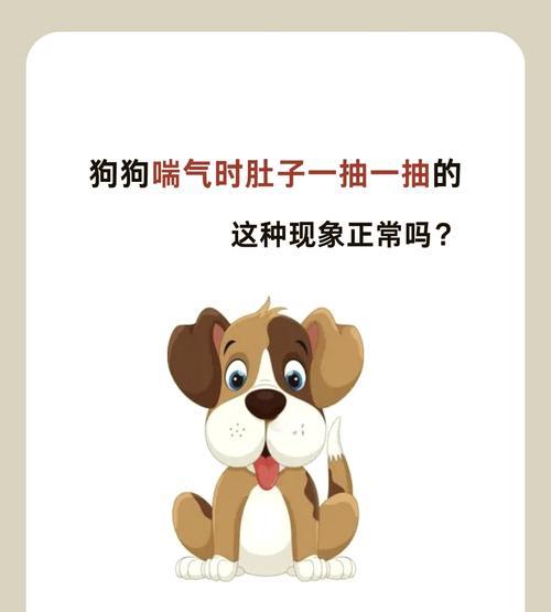 夏季狗狗气喘的原因及应对方法（了解夏季狗狗气喘的原因，为宠物健康呼吸找到解决方案）