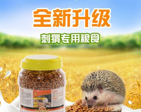 宠物刺猬的理想主食和饲养要点（为你的刺猬提供健康均衡的食物，并养护它的身体健康。）