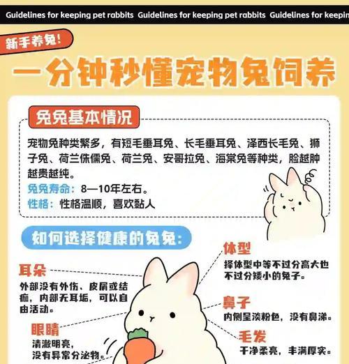兔子眼眶变红的原因及应对方法（兔子眼部红肿可能的病因和治疗方式）