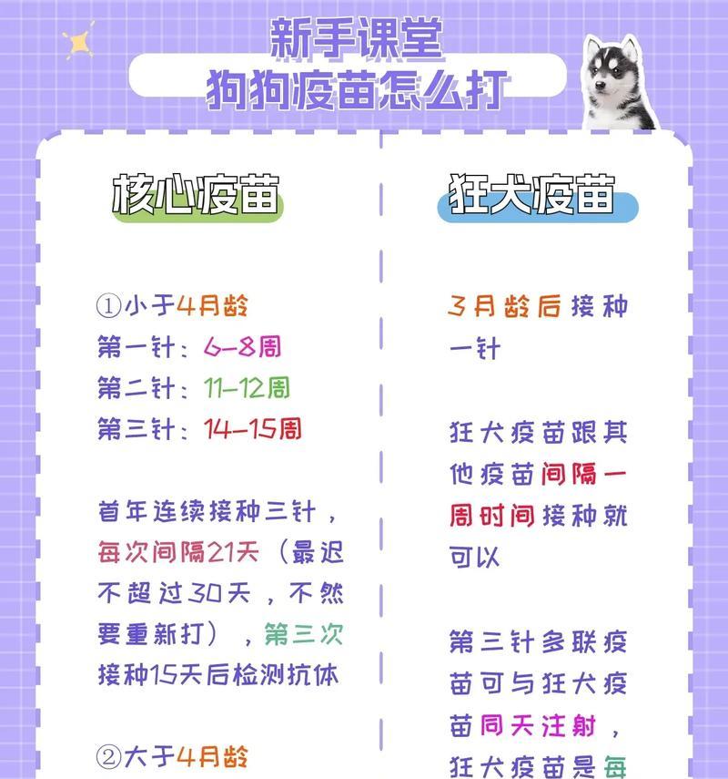 南京市狗狗疫苗接种指南（南京市狗狗疫苗接种地点及注意事项）