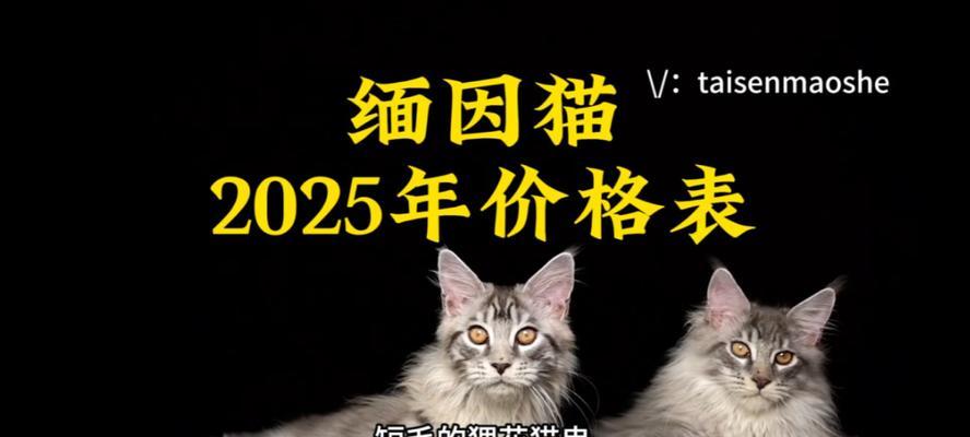 缅因猫价格表及优缺点解析（了解缅因猫价格及其优缺点，为你的宠物选择提供参考）