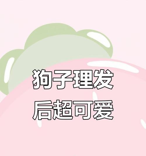 狗狗的理发频率及关键因素解析（探讨理发的最佳频率，以及影响狗狗理发频率的关键因素）
