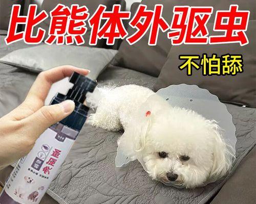 比熊犬驱虫频率探讨（比熊犬驱虫多久打一次？掌握正确频率保护宠物健康）