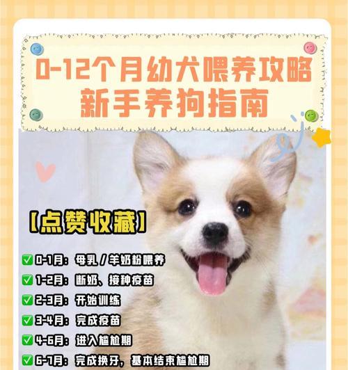 狗疫苗接种后的断奶时间（了解狗疫苗接种与断奶时间的关系）