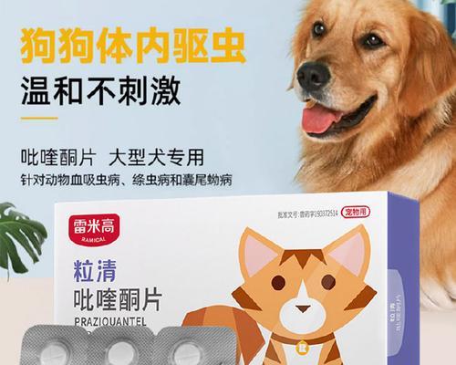 金毛犬驱虫药的选择与使用方法（了解金毛犬驱虫药的种类和作用，保护您的宠物健康）