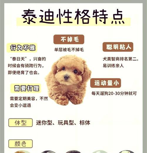 以太迪配狗洗澡时间的科学规律（为宠物爱好者解答洗澡频率的疑惑）