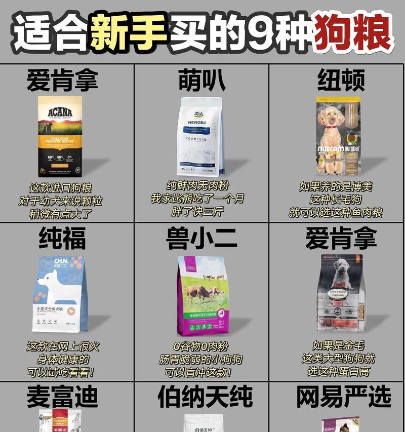 科学喂养家里的狗狗（合适的狗粮量和喂养方法）
