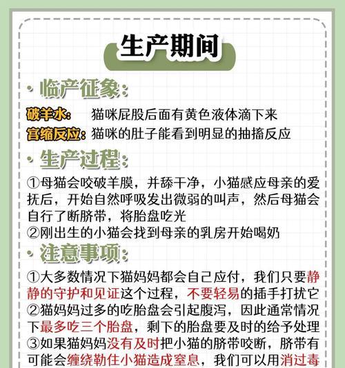 猫咪配种后多久会显孕的时间（探究猫咪配种后怀孕的时间节点及影响因素）