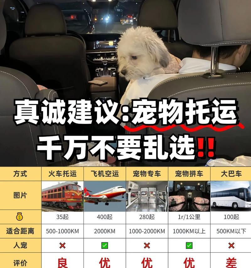 宠物托运（了解宠物托运的流程和咨询方式）