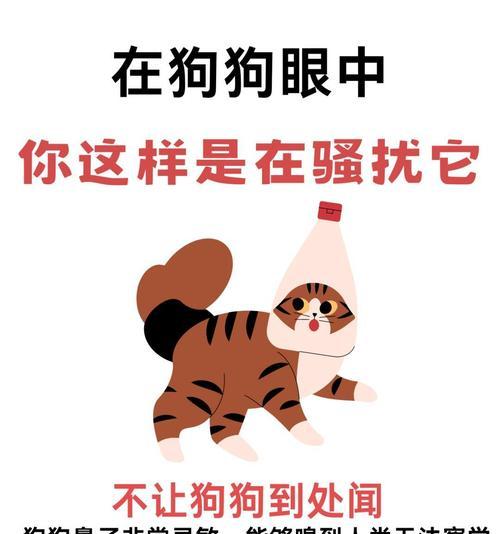 解析狗狗见人就扑的原因及培养文明有礼貌的方法