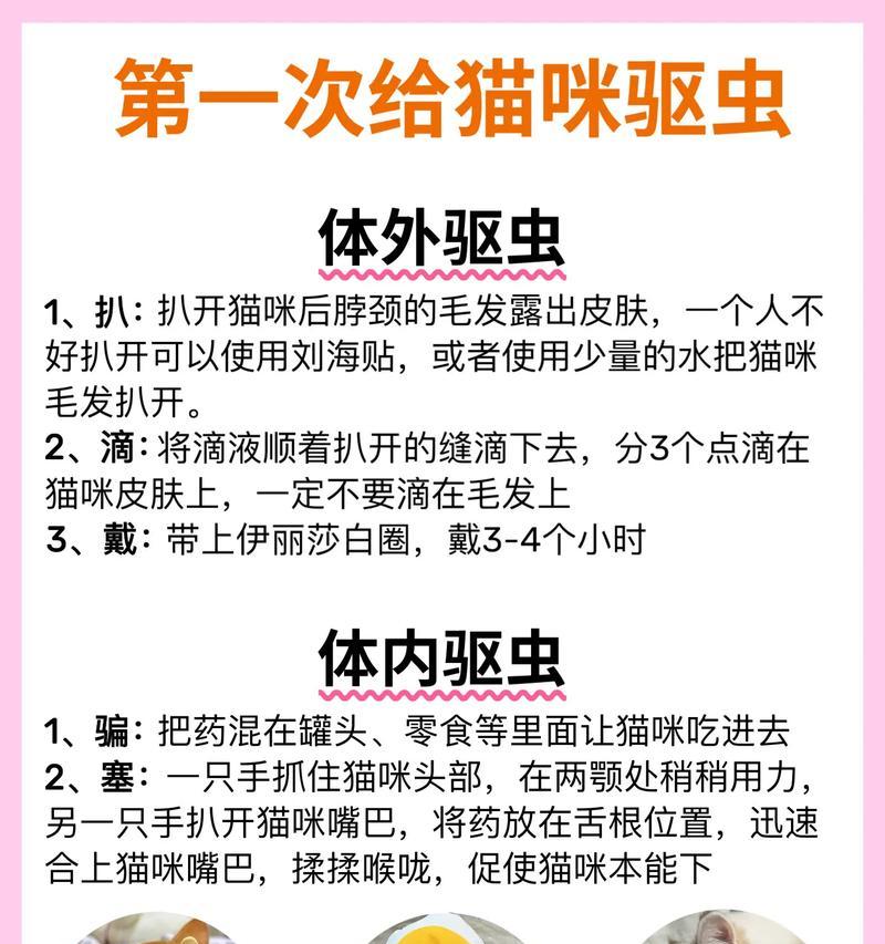 猫咪驱虫指南（猫内外驱虫多少钱？如何正确驱虫保护宠物猫？）