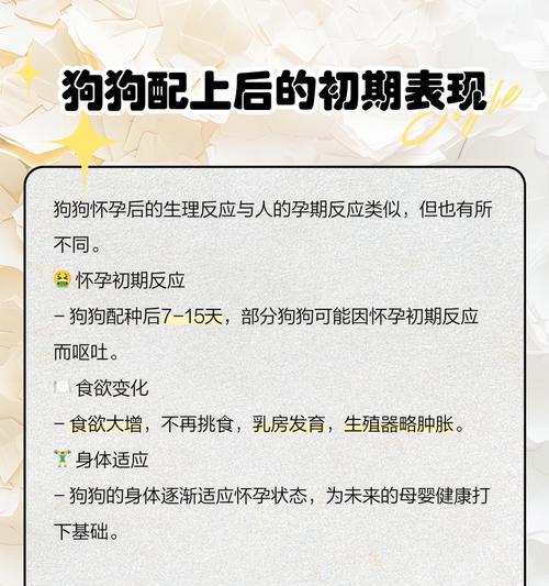 狗宝贝分娩前的徵兆及协助方法（了解狗宝贝分娩前的徵兆，保障顺利分娩）