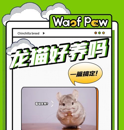如何科学喂养新生龙猫——探索适宜的饮食模式（新生龙猫的饮食需求与喂养频率）