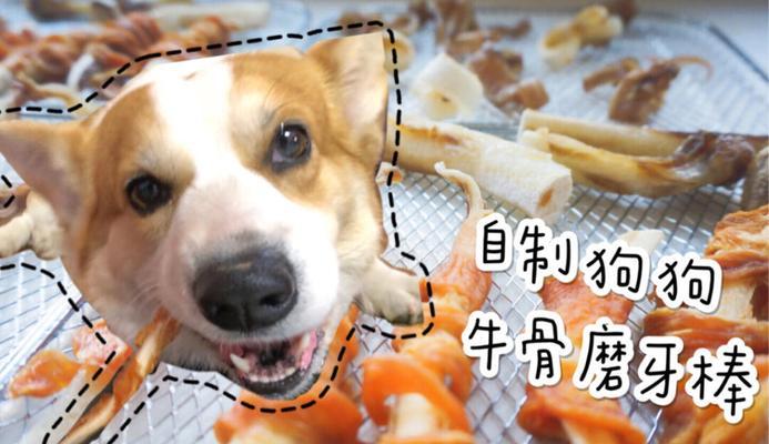 狗狗吃牛骨棒的煮制时间究竟是多久？（探索狗狗牛骨棒的最佳煮制时长）