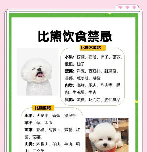 比熊洗澡频率指南（探讨比熊洗澡的最佳时间间隔）