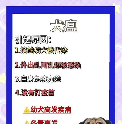 犬瘟（详解犬瘟的症状及其潜伏期长短，有效预防对策）