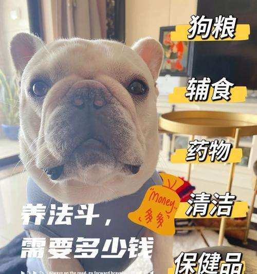 法斗价格揭秘（探寻法斗市场价格的不同水平及其背后的原因）