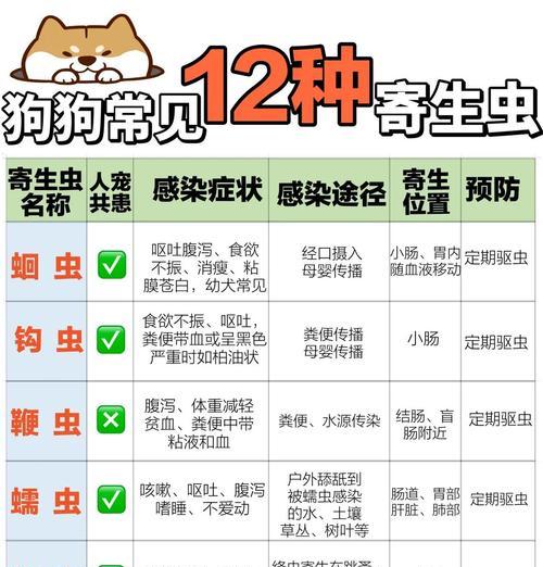 宠物驱虫频率（了解宠物驱虫的最佳频率和注意事项）