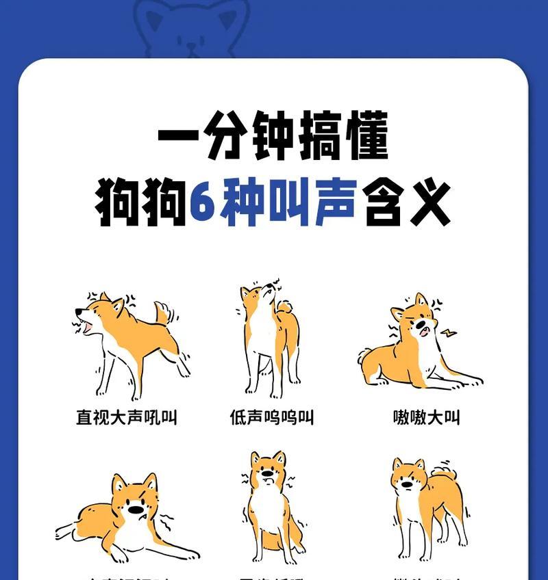狗狗交配中惨叫的原因解析（探究狗狗交配中惨叫的原因及其影响因素）