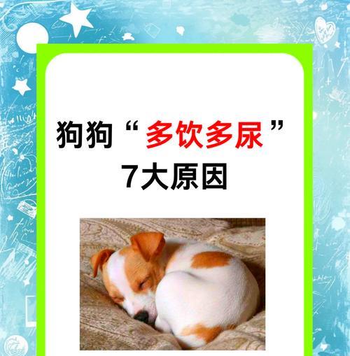 狗狗的水量需求及喝水注意事项（探究狗狗每天所需的水量以及饮水的重要性）
