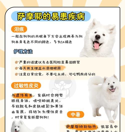 萨摩耶洗澡（以狗萨摩耶洗澡多久一次澡为主题的全面指南）