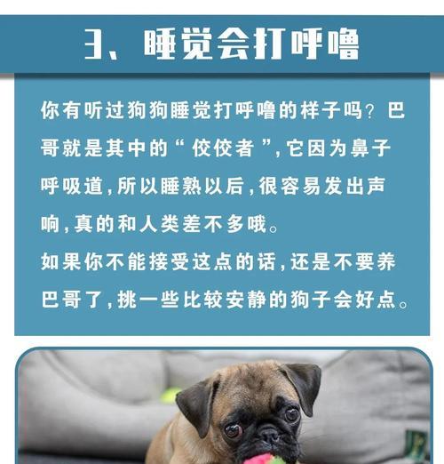 狗狗可以多久不吃狗粮？（了解狗狗饮食需求与健康之间的平衡）