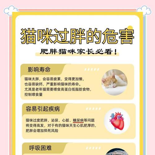 猫咪的体重问题（了解猫咪体重问题的原因以及肥胖所引发的健康风险）