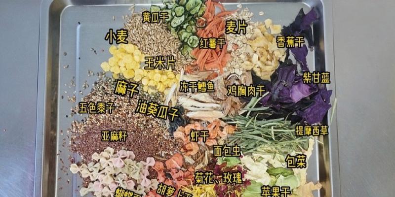 仓鼠的合理饮食及适宜食物选择（营养均衡的饮食对仓鼠健康至关重要）