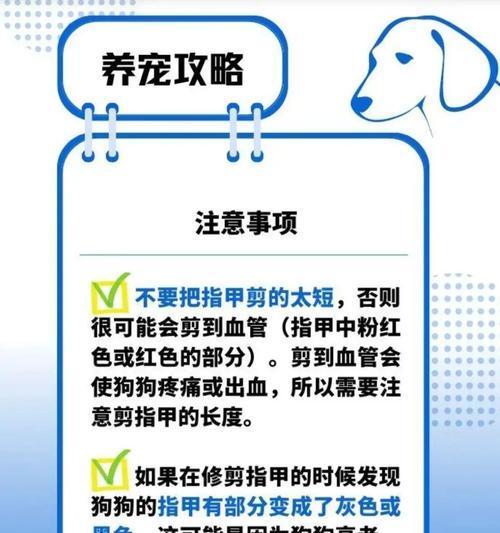 主人如何正确帮助狗狗剪指甲（了解准备工作和正确操作，让剪指甲变得轻松愉快）