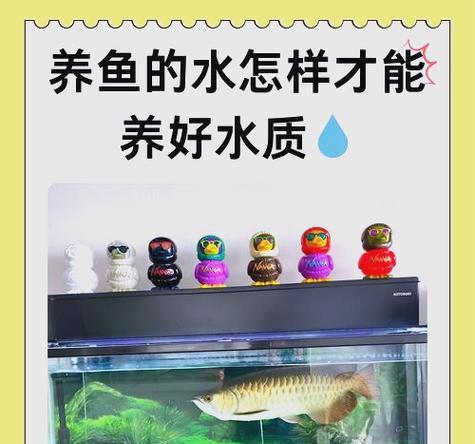 鱼缸水中的潜在危害（饲养鱼类需知，了解鱼缸水的危害！）