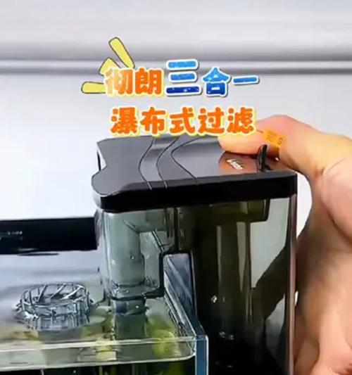鱼缸过滤器的清洁原则（有效清洁策略与过滤器更换时机）