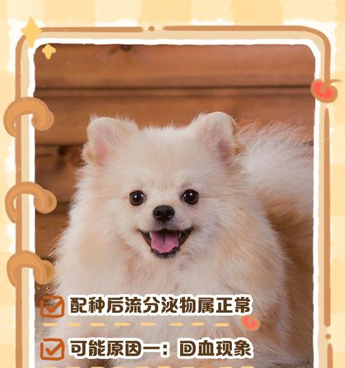 狗狗配种后多久可以洗澡？（洗澡时间和注意事项）