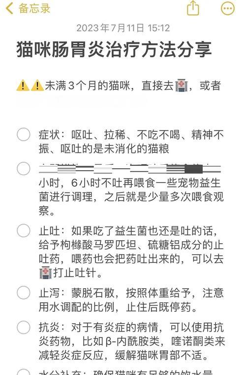 猫肠胃不好的症状及处理方法（了解猫肠胃问题的迹象，帮助你的猫恢复健康）