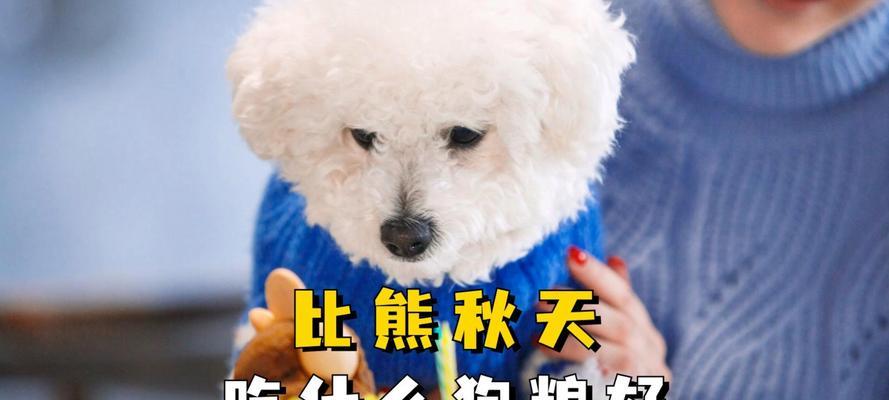 比熊健康喂养指南（科学饲养法帮你打造萌宠小白熊）
