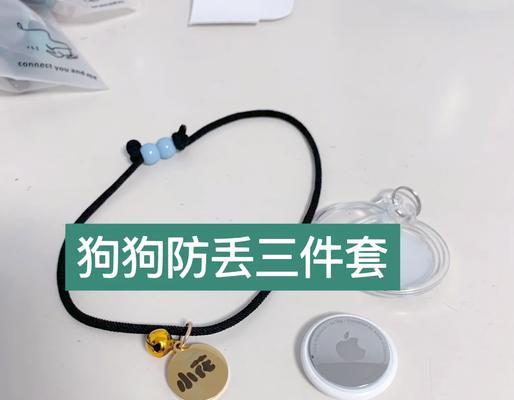 带狗狗出游，必备物品一览（为宠物犬安排一次愉快的旅行，这些物品不可或缺）
