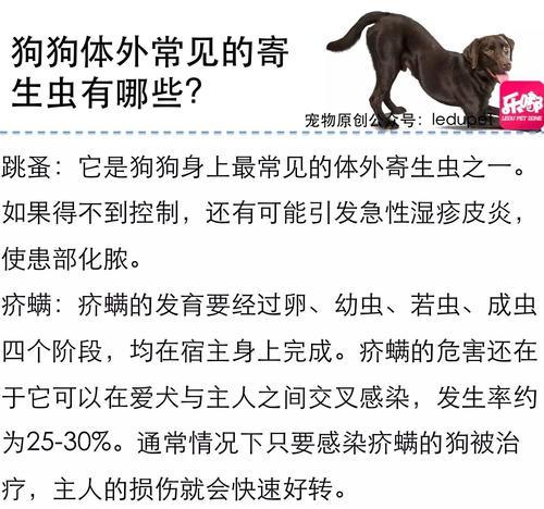 判断狗没有狂犬病的时间周期（狂犬病检测的关键因素及时间预测）