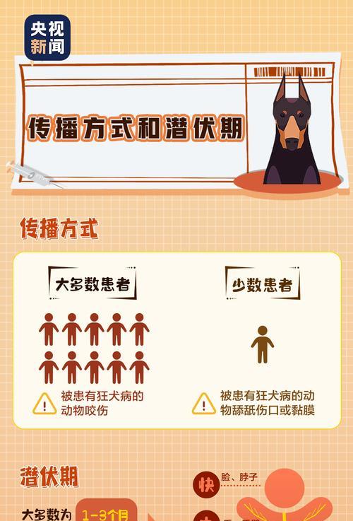 狗狗生病死亡后多久能重新养狗？（探讨适合再次养狗的时间和关键因素）