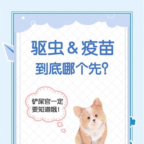 金毛驱虫后可以洗澡的时间和注意事项（金毛驱虫后合适的洗澡时间和正确的洗澡方法）