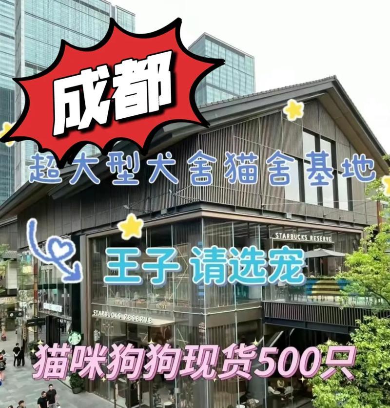 四川狗市场调查——挖掘四川特色的狗狗商家（探寻成都、乐山、绵阳等地的狗市场，解读四川人对狗的热爱）