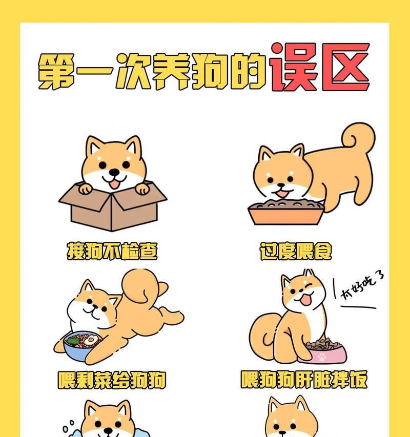 盘点八种常见宠物狗的价格（了解不同宠物狗的价格区间及市场走势）
