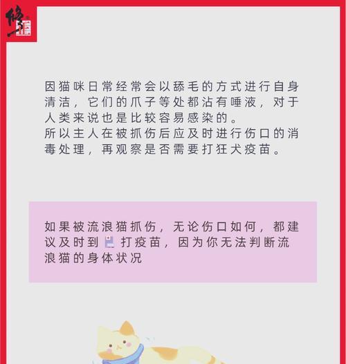 给猫抓了多久打针的重要性（养猫人必读的打针时间安排和注意事项）
