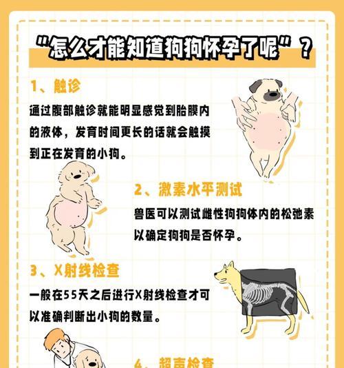 母狗的分娩过程及时间（探秘母狗产仔的奇妙过程）