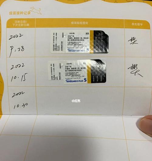 狗狗疫苗后多久能吃药？（狗狗接种疫苗后的用药时间安排及注意事项）