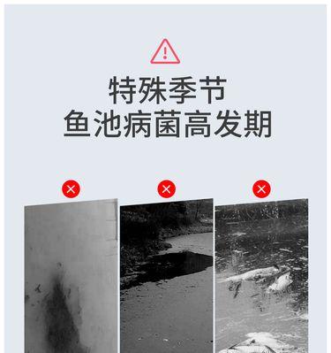 大鱼池水的换水周期及注意事项（科学养鱼，保持水质清洁）